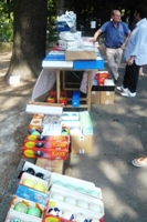 Clicca sulla foto per vedere ingrandimento